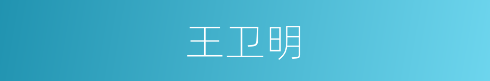 王卫明的同义词