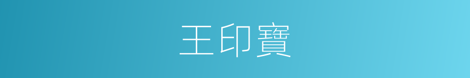王印寶的同義詞