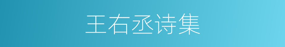 王右丞诗集的同义词