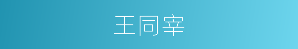 王同宰的同义词