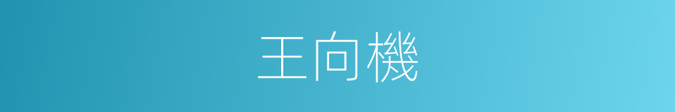 王向機的同義詞