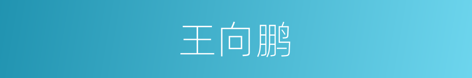 王向鹏的同义词