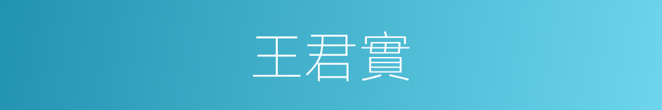 王君實的同義詞