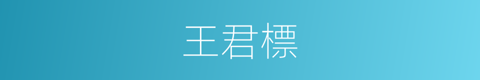 王君標的同義詞
