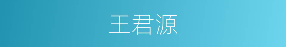 王君源的同义词
