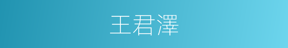 王君澤的同義詞