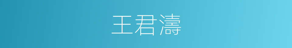 王君濤的同義詞
