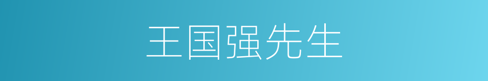 王国强先生的同义词