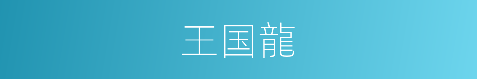 王国龍的同義詞
