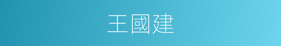 王國建的同義詞