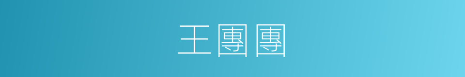 王團團的同義詞