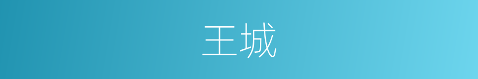 王城的意思