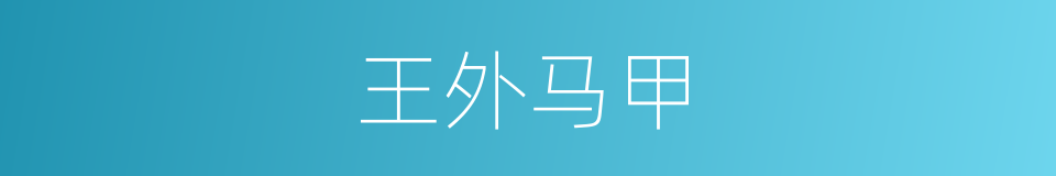 王外马甲的同义词