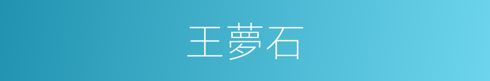 王夢石的同義詞