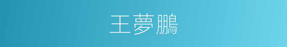 王夢鵬的同義詞