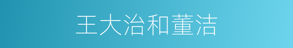 王大治和董洁的同义词