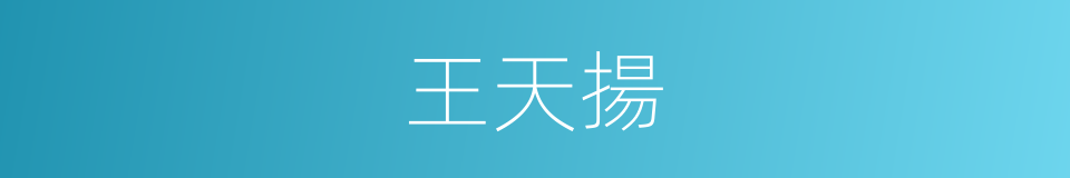 王天揚的同義詞