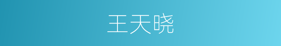 王天晓的同义词