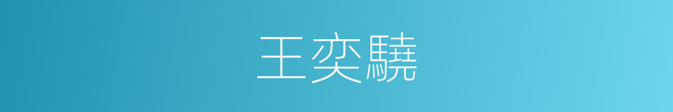 王奕驍的同義詞
