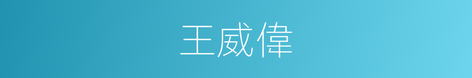 王威偉的同義詞