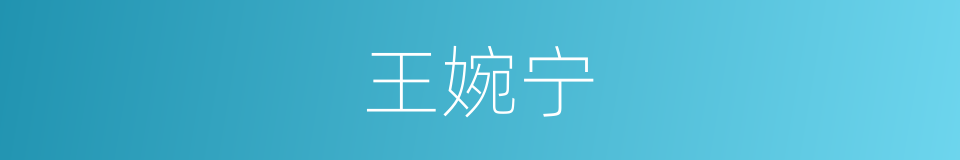 王婉宁的同义词