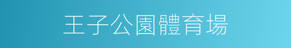 王子公園體育場的同義詞