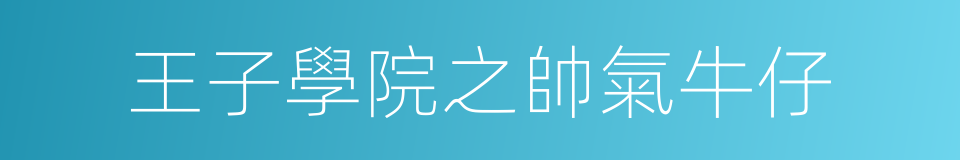 王子學院之帥氣牛仔的同義詞