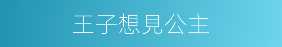 王子想見公主的同義詞
