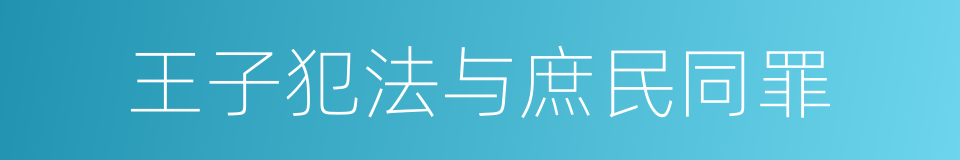 王子犯法与庶民同罪的同义词