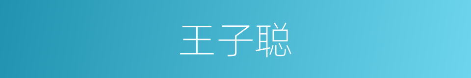 王子聪的同义词