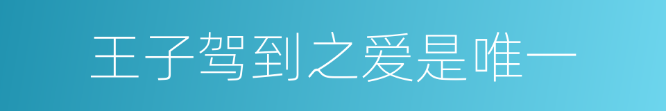 王子驾到之爱是唯一的同义词