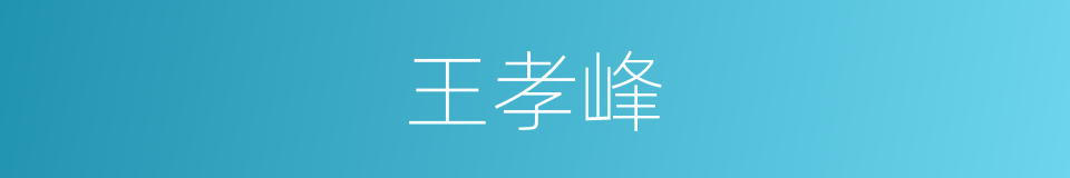 王孝峰的同义词