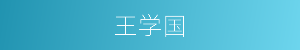 王学国的同义词