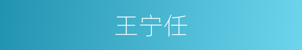 王宁任的同义词