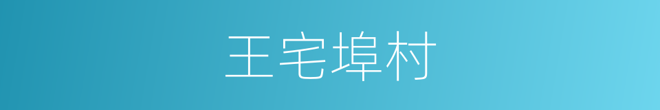 王宅埠村的同义词