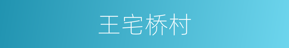 王宅桥村的同义词
