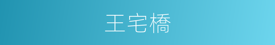 王宅橋的同義詞