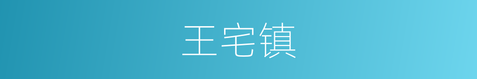王宅镇的同义词