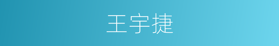王宇捷的同义词
