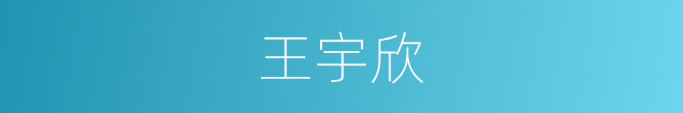 王宇欣的同义词