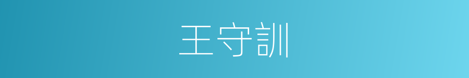 王守訓的同義詞