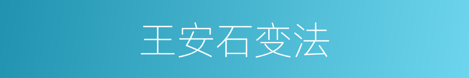 王安石变法的同义词