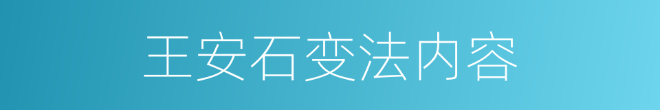 王安石变法内容的同义词