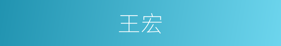 王宏的同义词