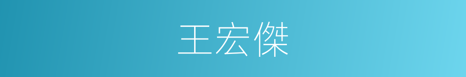 王宏傑的同義詞