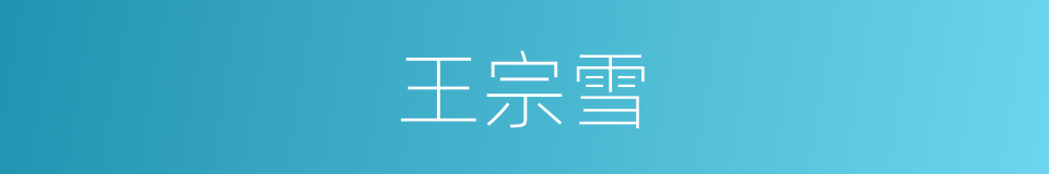 王宗雪的同义词