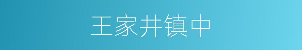 王家井镇中的同义词