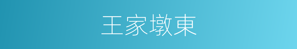 王家墩東的同義詞