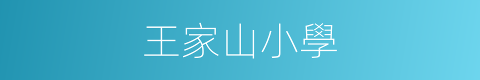 王家山小學的同義詞