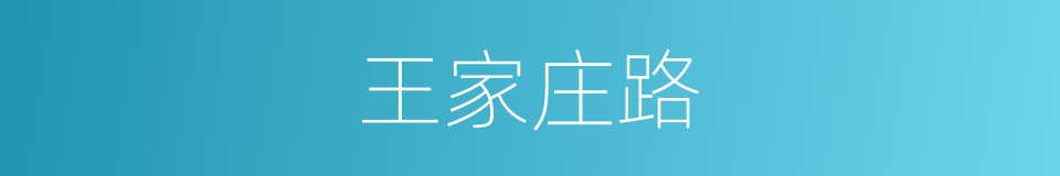 王家庄路的同义词